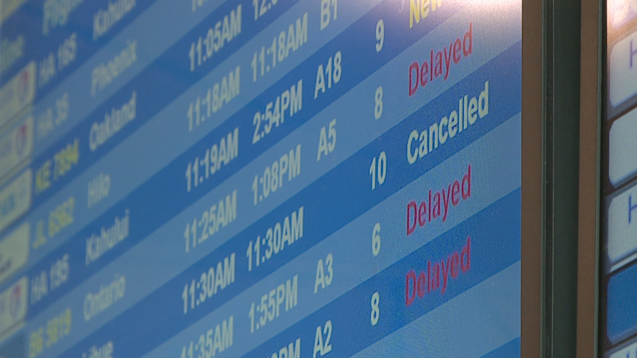 A list of canceled and delayed flights in Honolulu, Hawaii on Monday, March 8, 2023.